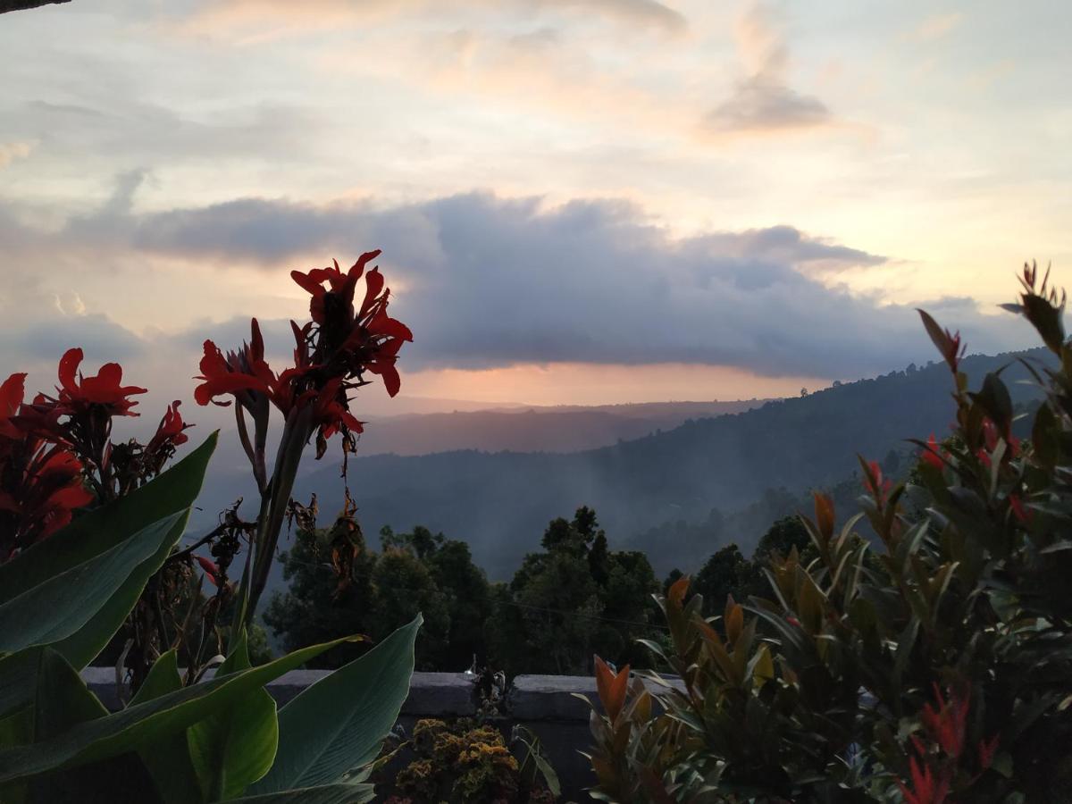 Puri Sunset Homestay Munduk Zewnętrze zdjęcie